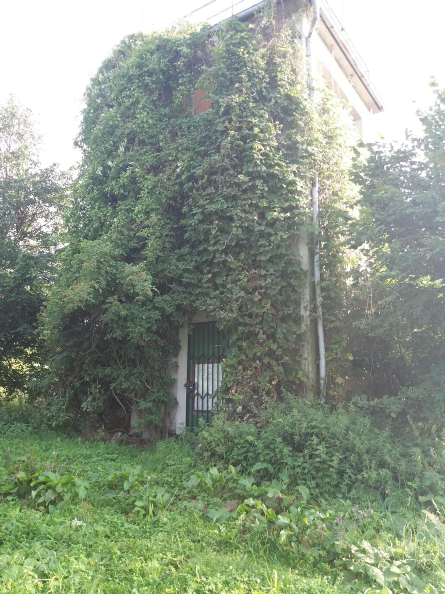 Ferienwohnung Am Hochrhoener Andenhausen 외부 사진